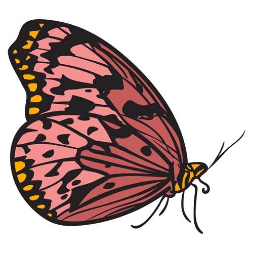 Butterfly Theme Pink And Black Side View Butterfly Transparent Sticker Large
